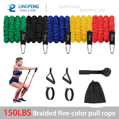 Set of resistance bands for exercise. These elastic bands come in various resistance levels (indicated by color-coding) for a full-body workout. Ideal for strength training, yoga, Pilates, and physical therapy.